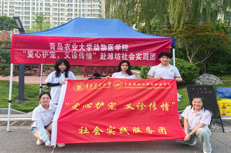 青島農(nóng)業(yè)大學(xué)“愛心護(hù)寵，義診傳情”社會(huì)實(shí)踐服務(wù)團(tuán)：攜手共筑愛寵家園 并肩共繪和諧