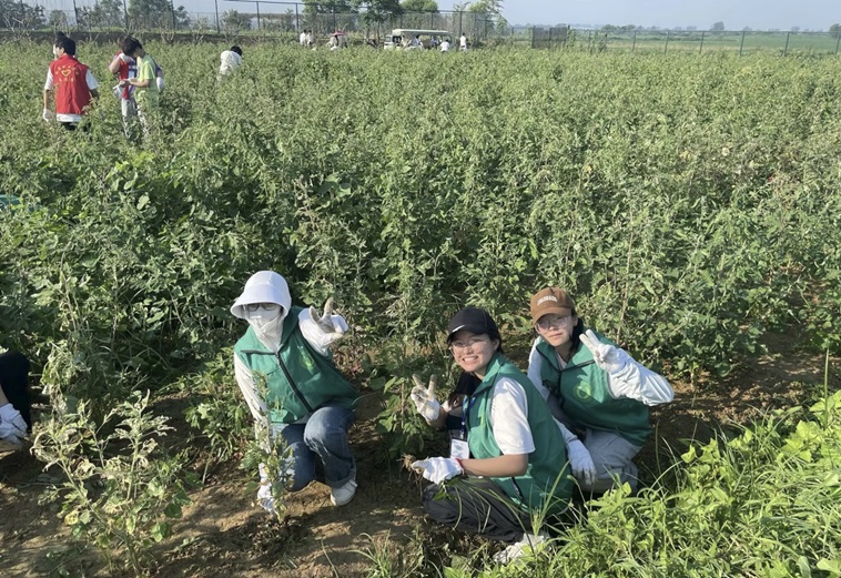 用青春熱血探興，為非遺傳承貢獻(xiàn)力量