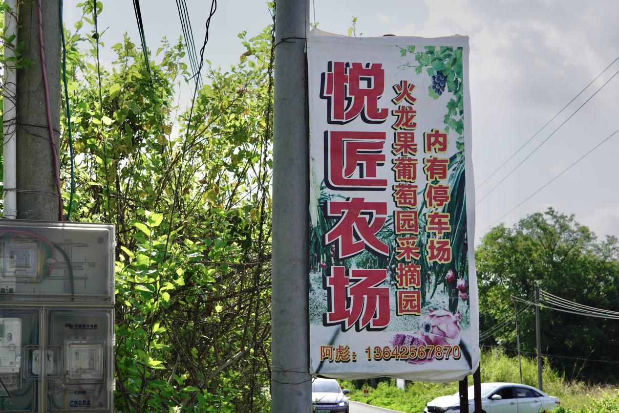 【百千萬工程 助力鄉(xiāng)春】挖掘西河農(nóng)業(yè)特色，探尋產(chǎn)業(yè)發(fā)展脈絡(luò)