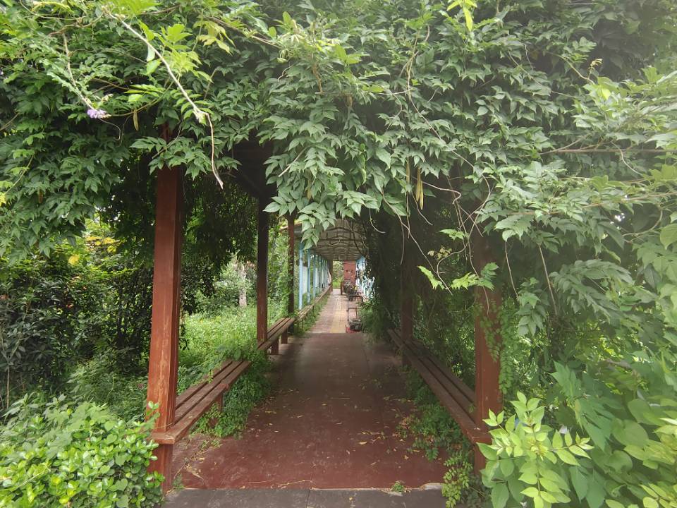 "青春的奉獻：李順雨同學(xué)暑期支教夢，點燃母校東方寄宿學(xué)校學(xué)子心"